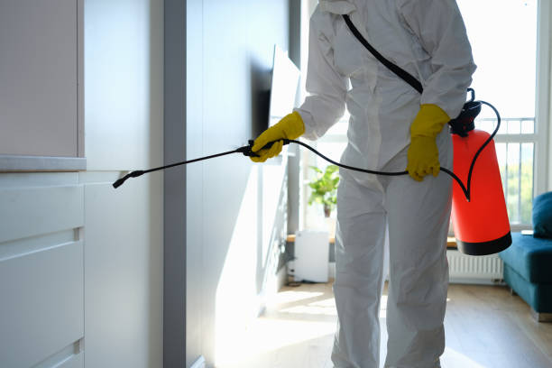 Best Commercial Mold Removal  in Nesquehoning, PA